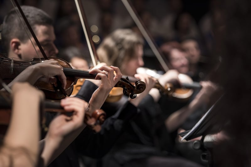 Live Music Ensembles